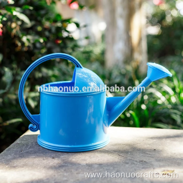 Custom Mini Metal Painting Watering Kettle For Garden